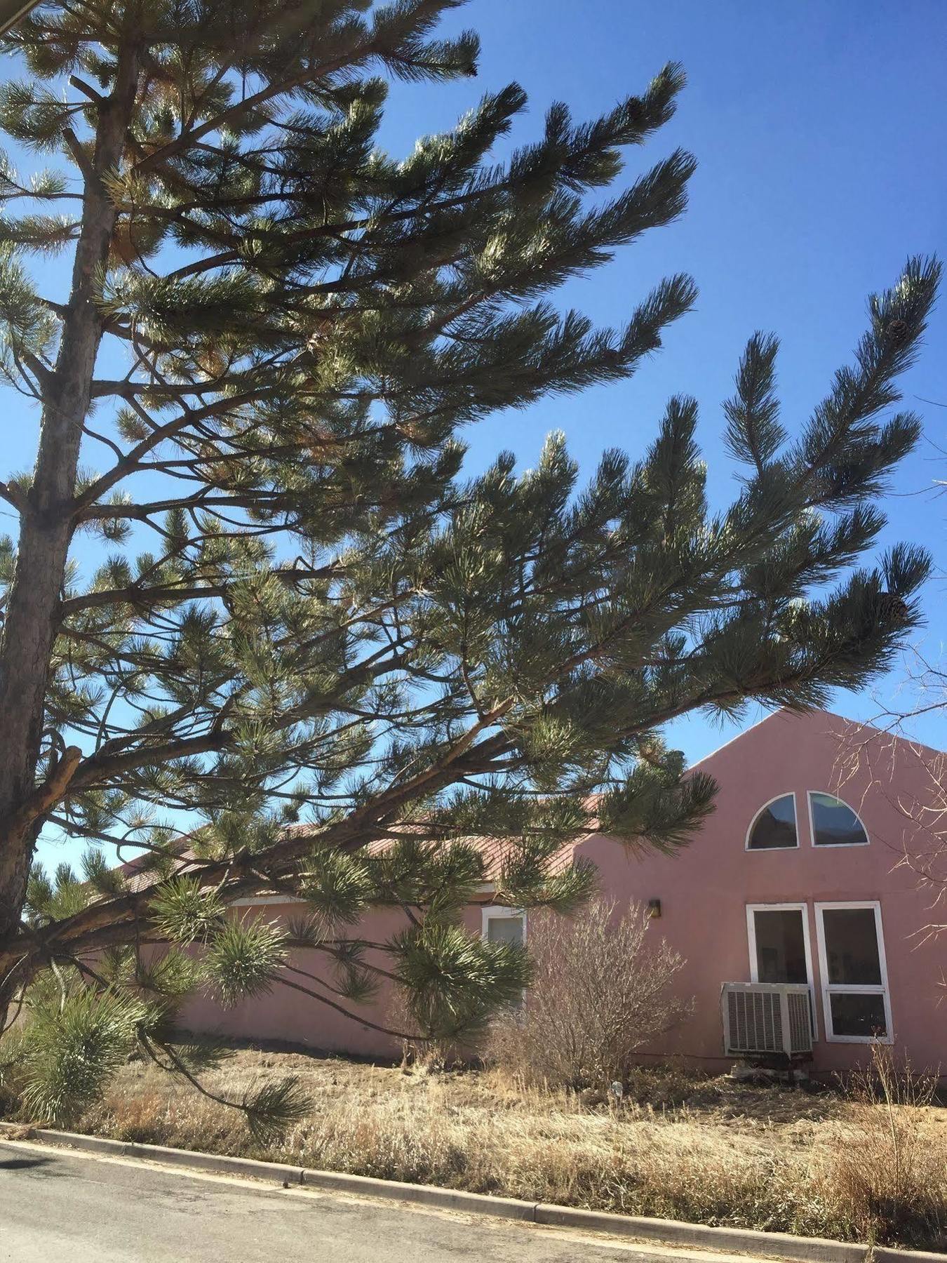 Hampton Inn Taos Exterior photo